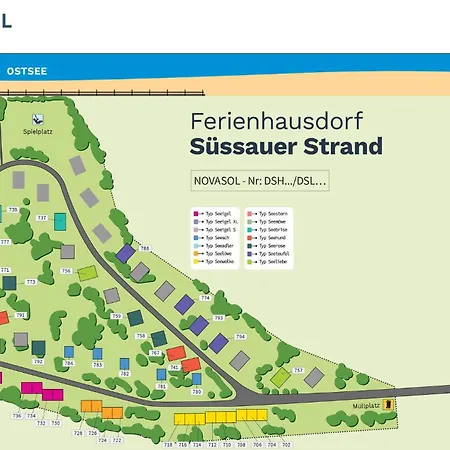Seeschwalbe