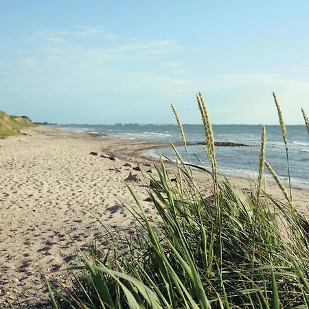 Seeschwalbe *